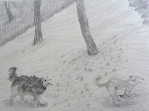 carnet de dessin 12 X 12 cm