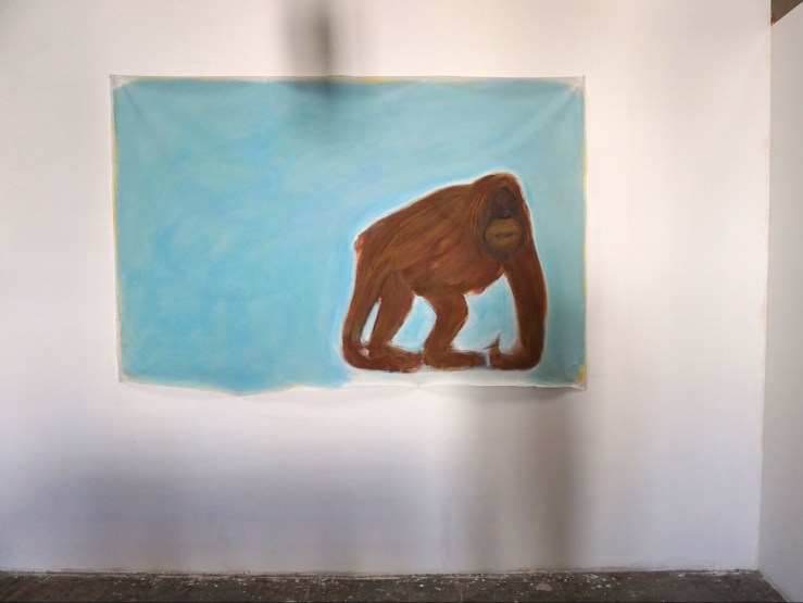 Cécile Savelli , Vue d'atelier , 2017